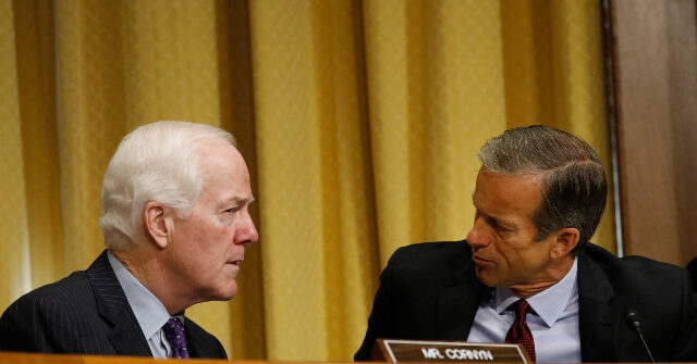 thune’s-right-hand-man-undercuts-cornyn-consolidation-with-broadside-against-hundreds-of-thousands-of-texans