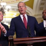 why-are-republican-senators-sabotaging-trump?