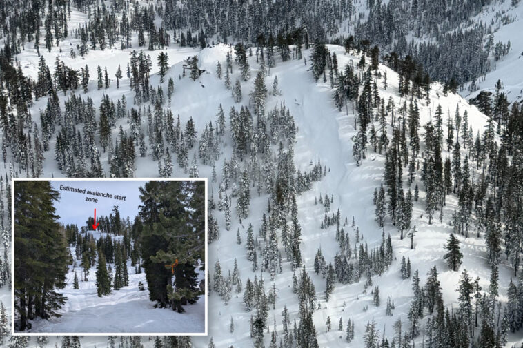 horrifying-new-details-released-after-lake-tahoe-avalanche-killed-nine-people,-possible-reason-why-so-many-died