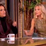 elisabeth-hasselbeck-challenges-‘the-view’-on-border-security,-sparks-heated-immigration-debate