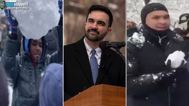 second-suspect-arrested-after-nyc-snowball-fight-sends-2-police-officers-to-hospital