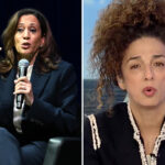 iranian-american-activist-torches-kamala-harris:-‘who-are-you?’