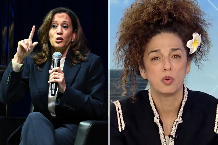 iranian-american-activist-torches-kamala-harris:-‘who-are-you?’