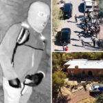 did-nancy-guthrie’s-abductor-return-to-the-crime-scene?-experts-weigh-in