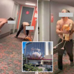bird-brain!-tourist-allegedly-stole-live-flamingo-from-las-vegas-hotel,-took-selfies-while-‘choking’-it