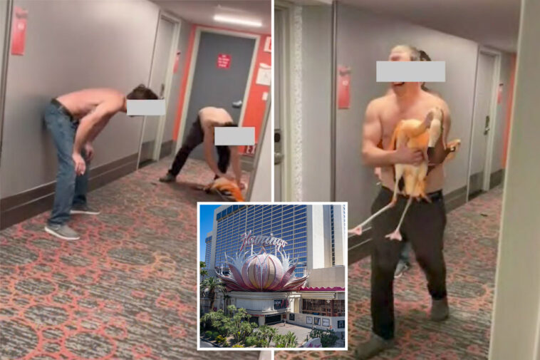 bird-brain!-tourist-allegedly-stole-live-flamingo-from-las-vegas-hotel,-took-selfies-while-‘choking’-it