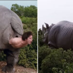 mechanical-rhino-featured-in-‘ace-ventura’-sequel’s-‘butt-birth’-scene-goes-up-for-auction