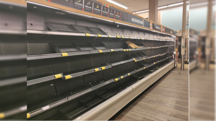 nearly-37-million-pounds-of-frozen-food-recalled-after-being-sold-across-the-country