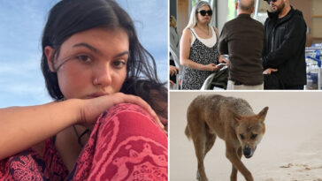 cause-of-death-revealed-for-canadian-teen-found-surrounded-by-dingoes-on-australian-beach