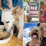 ‘entitled’-dog-owners-are-bringing-their-pooches-everywhere-—-and-pissed-off-new-yorkers-have-had-enough:-‘what’s-wrong-with-you?’