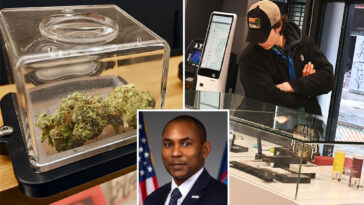 ny-ramps-up-pot-production-to-snuff-out-potential-massive-weed-shortage