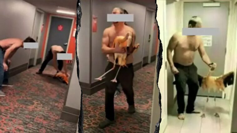 tourist’s-bird-brained-vegas-stunt-with-flamingo-lands-him-behind-bars-on-felony-charges