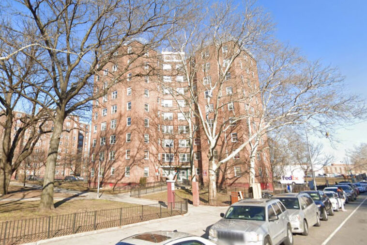 man,-27,-fatally-shot-in-back-of-head-in-apparently-targeted-attack-at-nycha-building:-cops,-sources