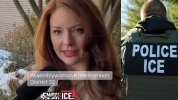 new-jersey-democrat-assemblywoman-sponsors-vulgar-‘f**k-ice’-bill-to-sue-federal-immigration-agents-(video)