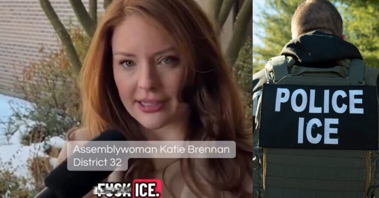 new-jersey-democrat-assemblywoman-sponsors-vulgar-‘f**k-ice’-bill-to-sue-federal-immigration-agents-(video)