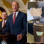 tsa-seizes-drugs,-guns-and-fake-grenades-—-despite-dem-fueled-funding-freeze-that’s-kept-workers-on-furlough