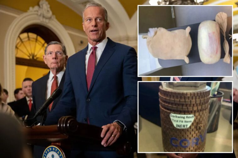 tsa-seizes-drugs,-guns-and-fake-grenades-—-despite-dem-fueled-funding-freeze-that’s-kept-workers-on-furlough