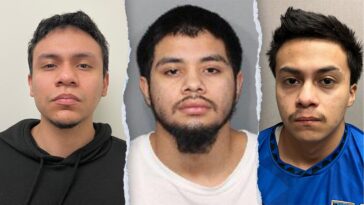 four-illegal-immigrants-linked-to-ms-13-indicted-for-allegedly-murdering-14-year-old-boy-in-maryland-park