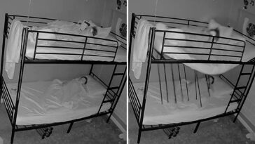 ‘final-destination’-like-video-shows-top-bunk-collapse,-nearly-impale-boy-sleeping-below