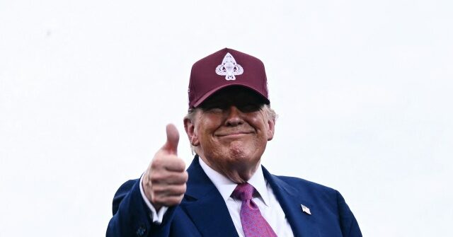 appeals-court-affirms:-trump-can-suspend-refugee-resettlement-to-us.