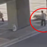 terrifying-moment-homeless-man-seen-chasing-after-mom-and-daughter-before-brutally-attacking-them