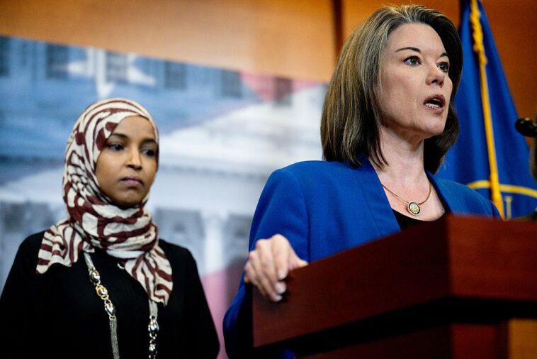 rip.-the-moderate-democrat