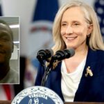 mike-davis:-virginia-returns-to-the-confederacy-with-a-seditious-conspiracy-against-ice