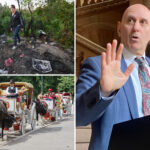 new-nyc-council-caucus-must-crack-down-on-animal-sacrifices-after-number-of-‘horrific-cases’:-queens-pol