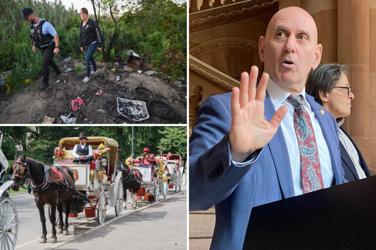 new-nyc-council-caucus-must-crack-down-on-animal-sacrifices-after-number-of-‘horrific-cases’:-queens-pol