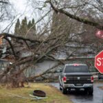 tornadoes-kill-four,-injure-more-than-a-dozen-in-michigan