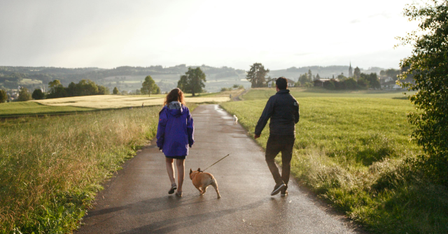family-dog-on-morning-walk-leads-its-owner-to-unconscious-woman,-saving-her-from-certain-death