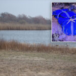 human-head-found-in-queens-belongs-to-torso-found-6-months-ago:-police-sources