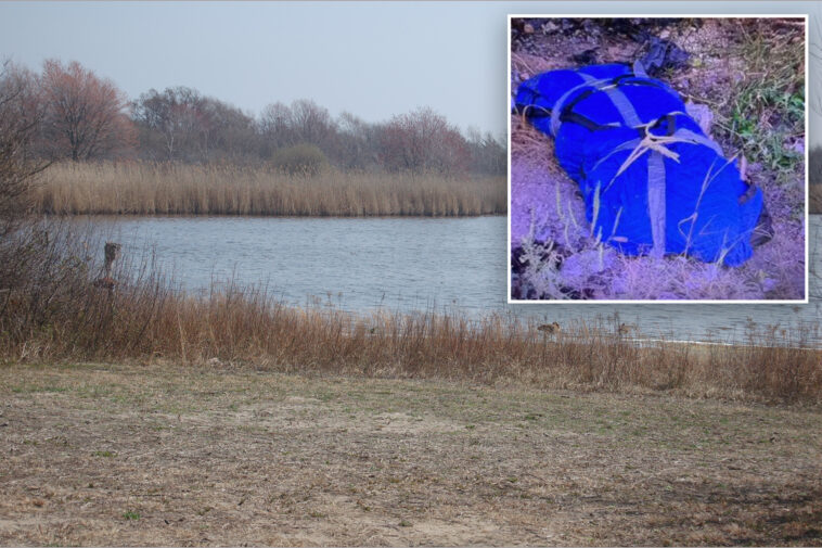 human-head-found-in-queens-belongs-to-torso-found-6-months-ago:-police-sources