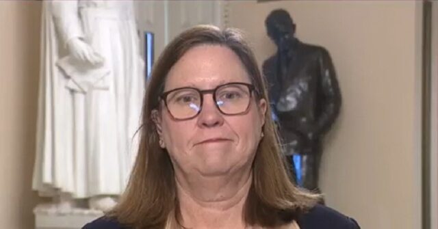 dem-rep.-julie-johnson-on-funding-dhs:-need-‘whole-scale-revamping’-of-dhs’s-mission