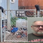 florida-woman-mauled-by-7-dogs-in-front-of-sex-offender’s-home