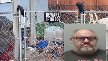 florida-woman-mauled-by-7-dogs-in-front-of-sex-offender’s-home