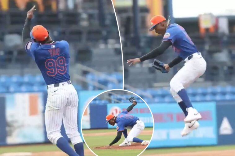 jefry-yan’s-electric-mets-pitching-celebration-that-‘gives-me-energy’-isn’t-something-new