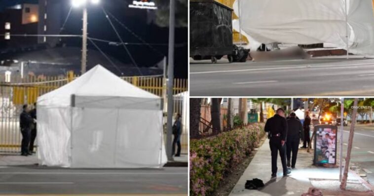 horror-in-los-angeles:-man-dies-from-gruesome-self-mutilation,-including-cutting-off-his-own-penis,-on-busy-downtown-street