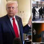 voters-oppose-trump-on-migrant-raids,-early-iran-strikes-—-but-back-him-on-these-other-key-issues:-poll