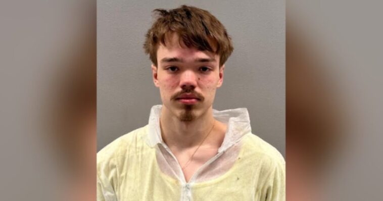 shocking-–-teen-allegedly-stabs-to-death-pregnant-woman-70-times,-attempts-to-sleep-in-police-car-after-arrest