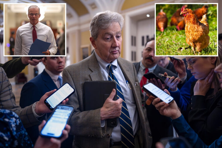 gop-‘free-range-chickens’-urged-to-use-special-tactic-to-pass-voter-id-bill-—-but-here’s-why-trump-is-balking