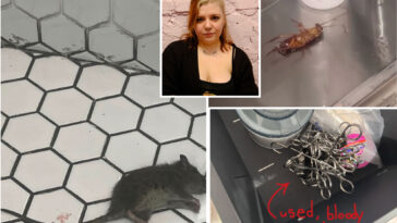 popular-nyc-tattoo-biz-sues-ex-workers-for-calling-out-alleged-dirty-needles,-rats,-bedbugs