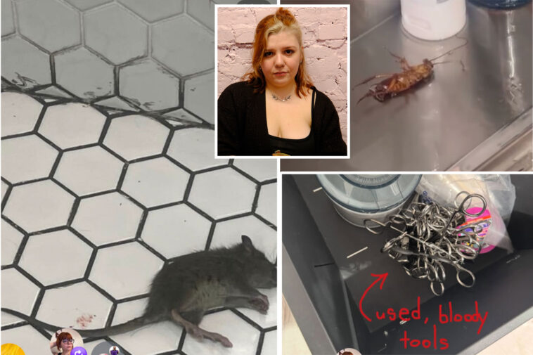 popular-nyc-tattoo-biz-sues-ex-workers-for-calling-out-alleged-dirty-needles,-rats,-bedbugs