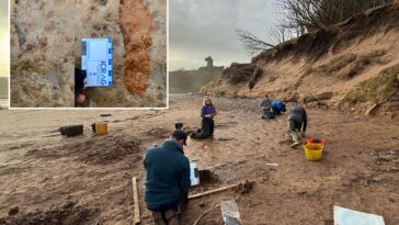 scottish-couple-walking-their-dogs-make-stunning-2,000-year-old-discovery-on-a-beach