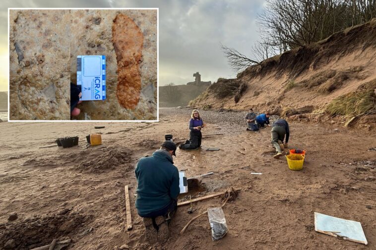 scottish-couple-walking-their-dogs-make-stunning-2,000-year-old-discovery-on-a-beach