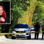 rihanna’s-beverly-hills-mansion-is-shot-at-while-singer-was-home,-woman,-30,-arrested