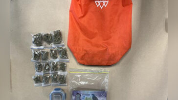 bag-containing-weed-and-cash-accidentally-donated-to-new-zealand-charity-shop