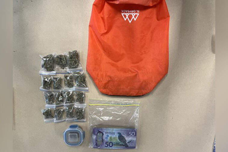 bag-containing-weed-and-cash-accidentally-donated-to-new-zealand-charity-shop