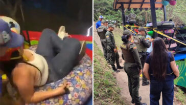 mom-‘afraid’-to-go-down-giant-theme-park-slide-dies-after-falling-15-feet:-reports