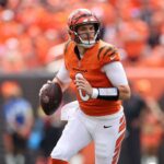 source:-bengals-won’t-tender-backup-qb-browning